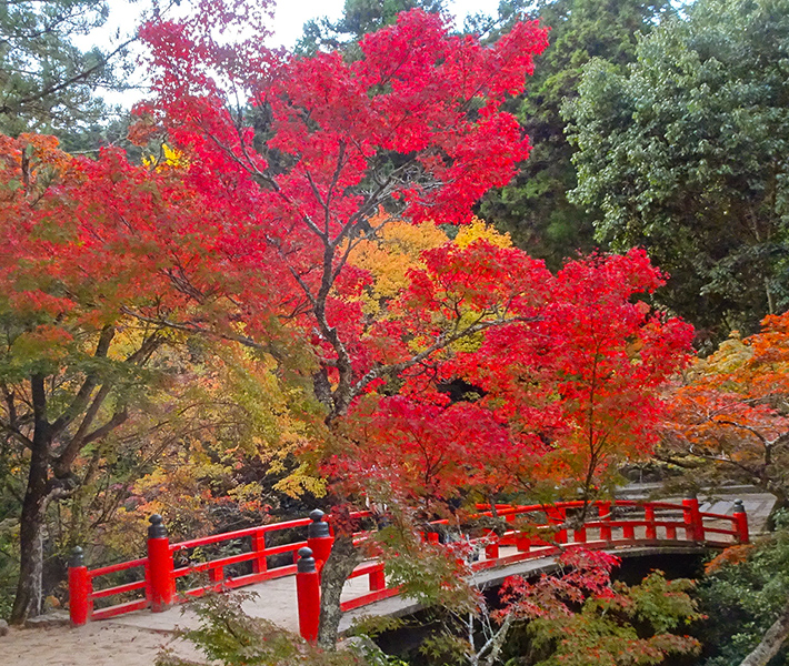 厳島神社近くの宮島の名物・お土産処平野屋
