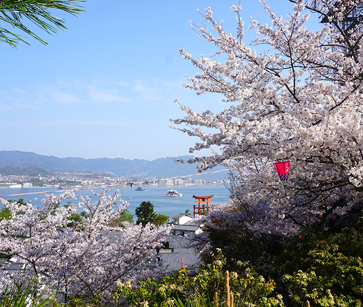 厳島神社近くの宮島の名物・お土産処平野屋